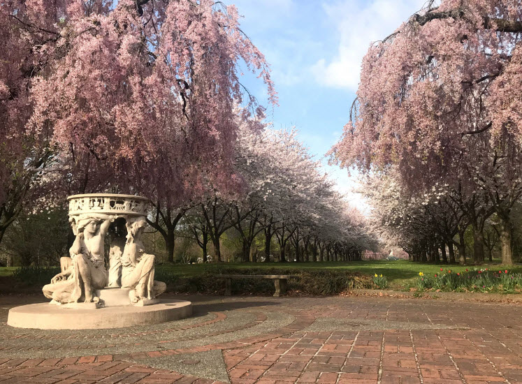Centennial Arboretum, United States
